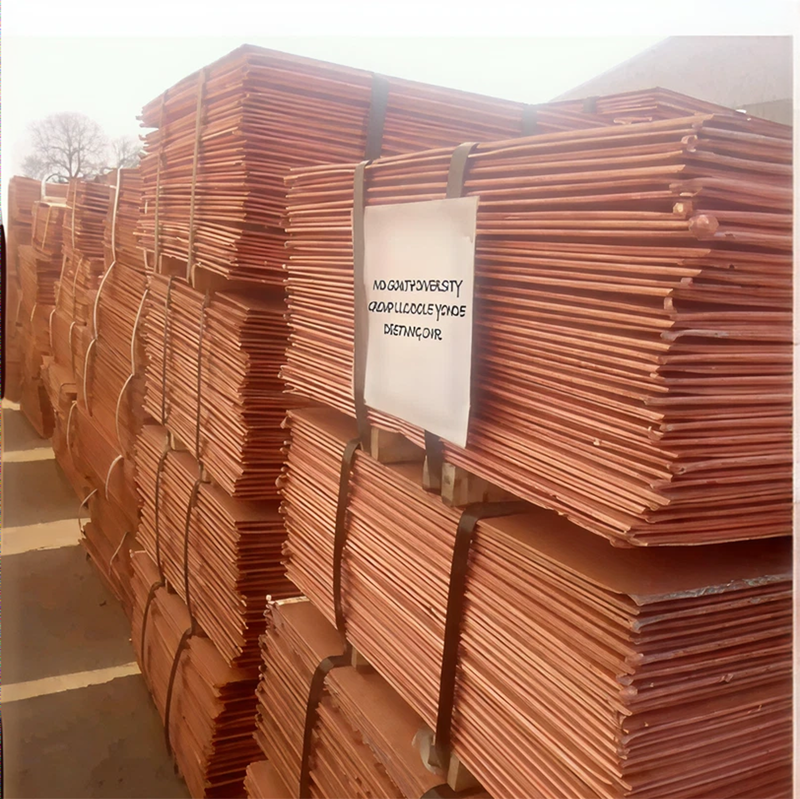 Copper Cathodes